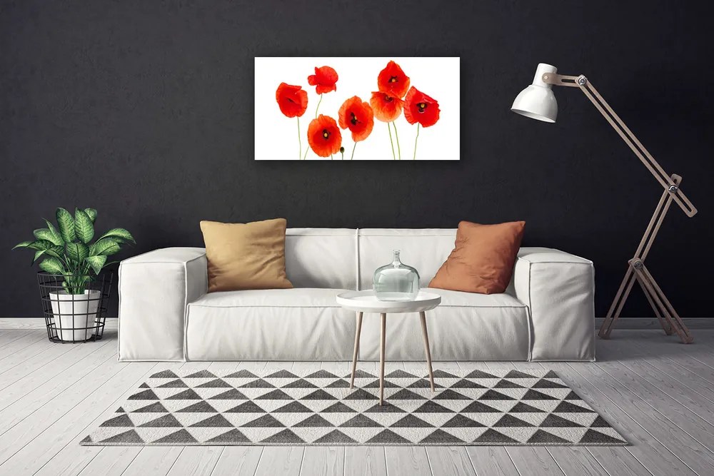 Obraz Canvas Maki Roślina Natura