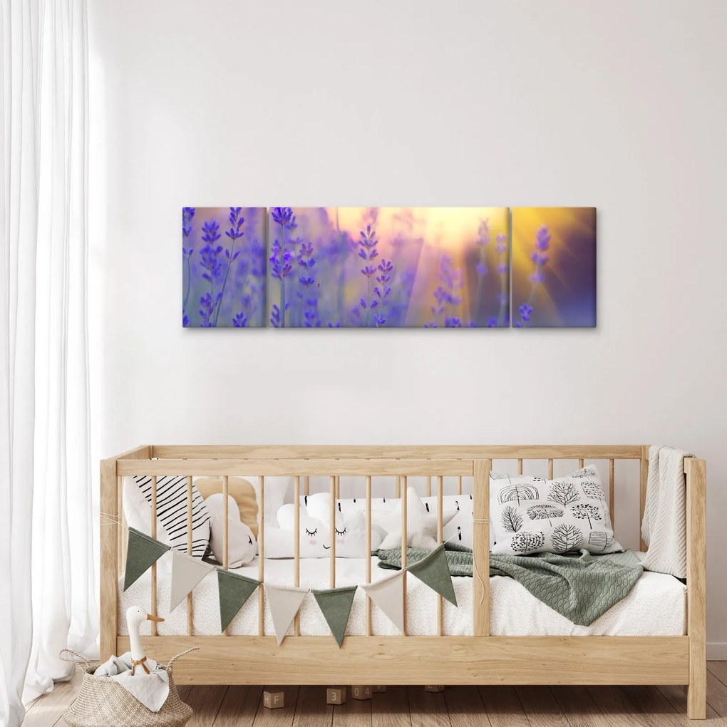 Obraz - Lawenda (170x50 cm)