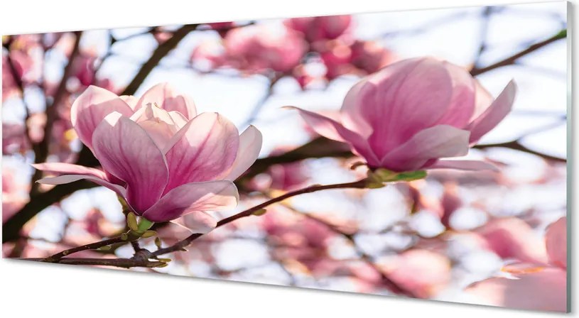 Panel nad Blat Kuchenny Magnolie w Sercu Parku