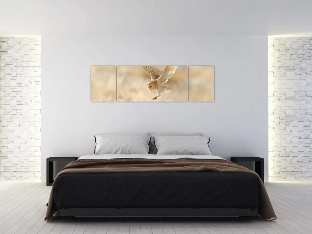 Obraz - Sowa (170x50 cm)