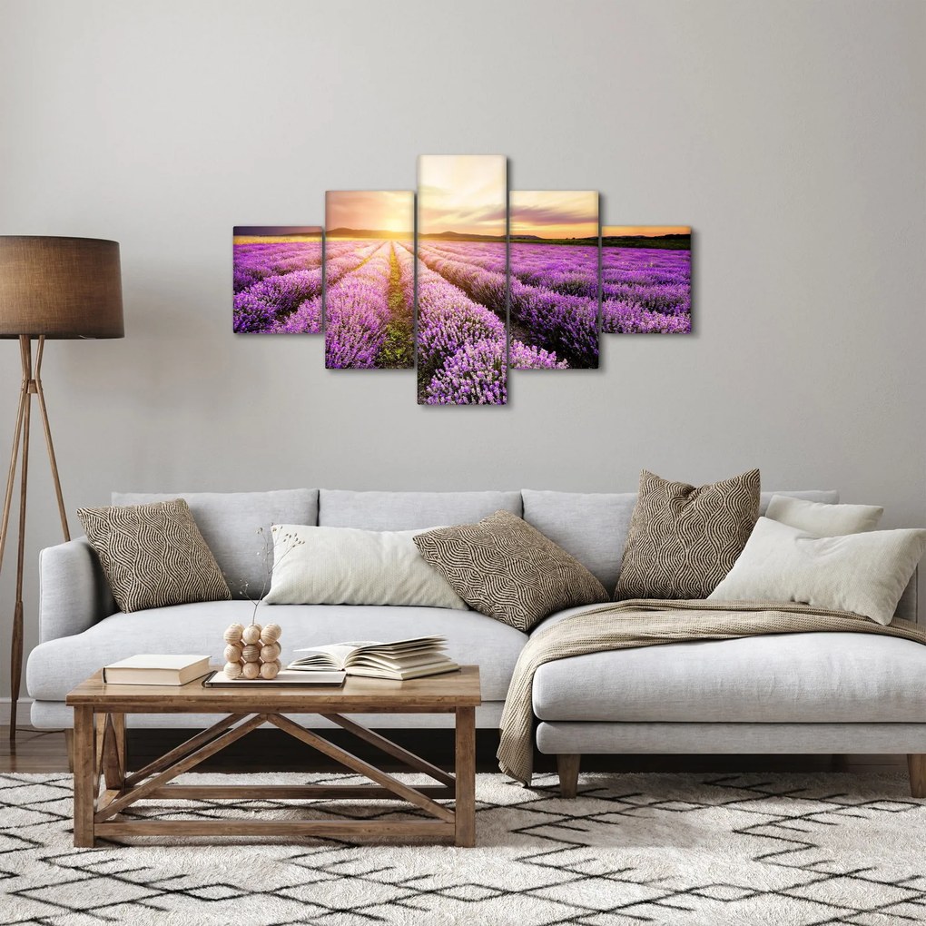 Obraz - Wschód słońca na polu lawendy (125x70 cm)
