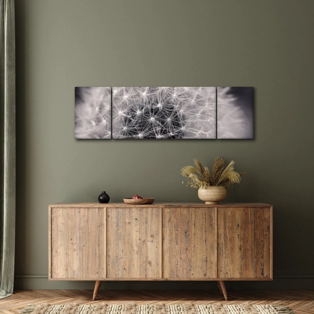 Obraz dmuchawca (170x50 cm)