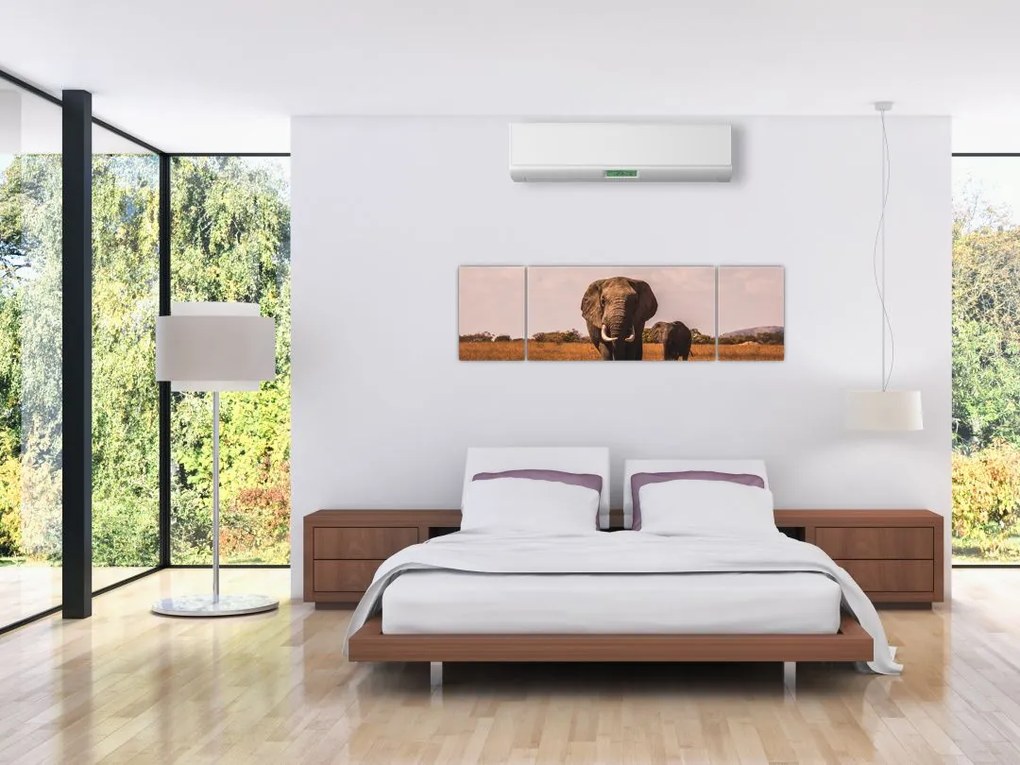 Obraz - Przybycie słonia (170x50 cm)
