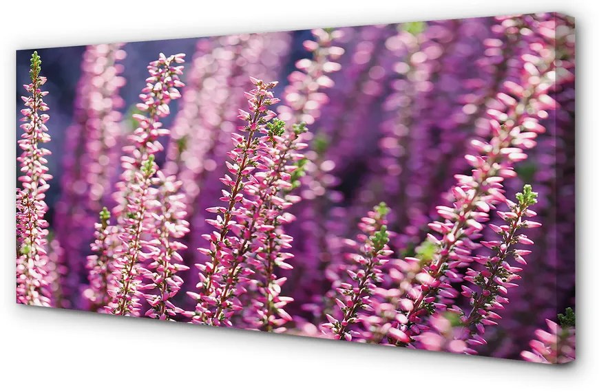 Duży obraz na płótnie Kwiaty