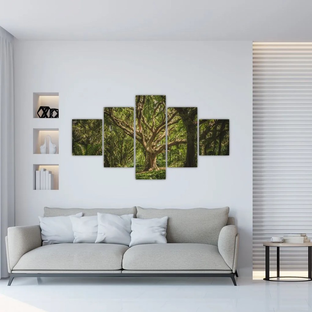 Obraz drzewa (125x70 cm)