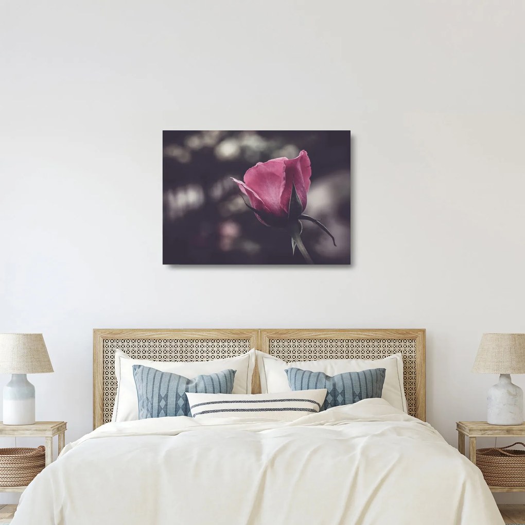 Obraz na szkle - Detal kwiatu róży (70x50 cm)