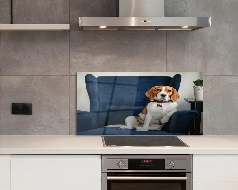 Panel Kuchenny Szklany Spokojny Siedzący Pupil