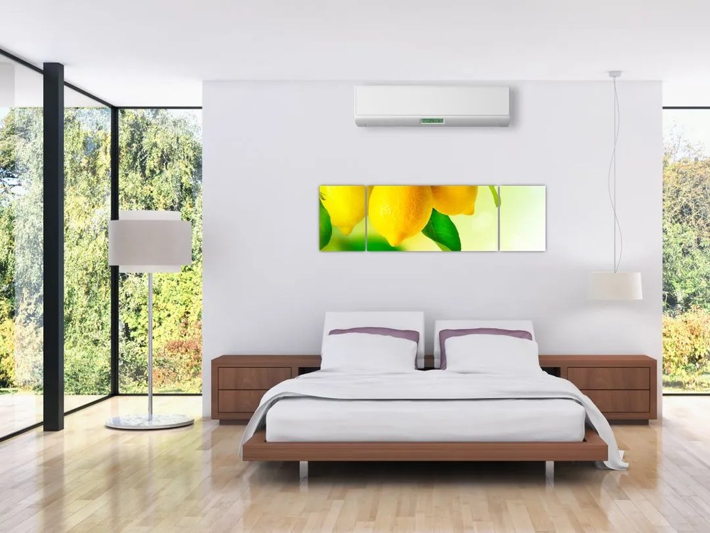 Obraz cytryn (170x50 cm)