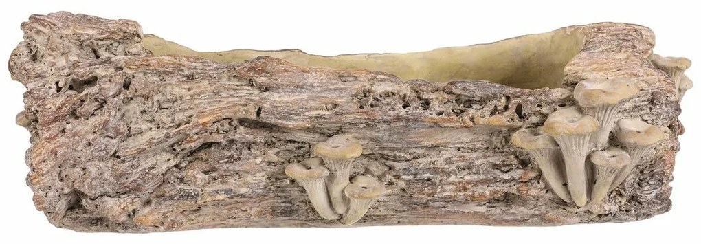 Opakowanie betonowe - skrzynka, drewno z grzybami,49 x 21 x 15 cm
