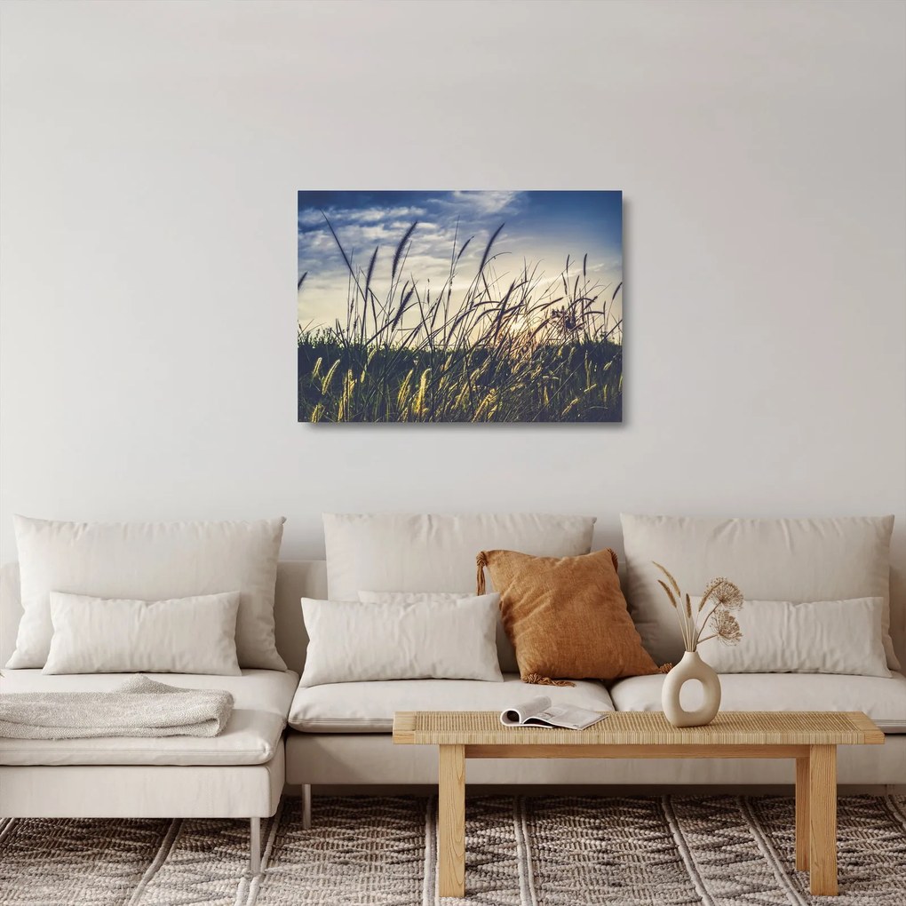 Obraz na szkle kwiatów łąkowych (70x50 cm)