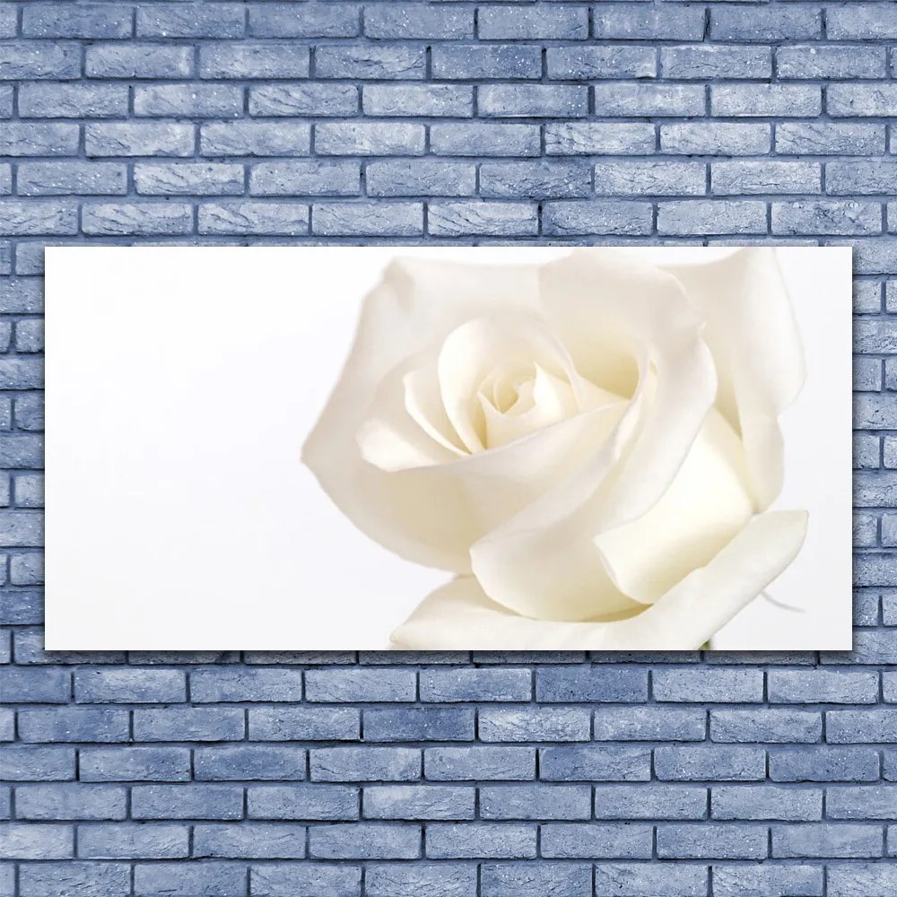 Fotoobraz na płótnie Romantyczny Bukiet Róż