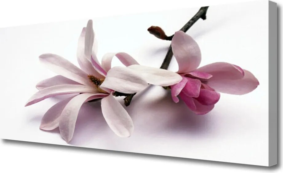 Obraz na płótnie Rozkwitająca Natura w Kwiatach