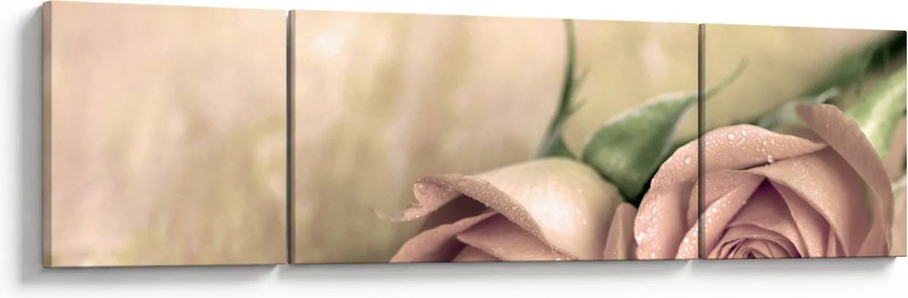 Obraz - Delikatne róże (170x50 cm)