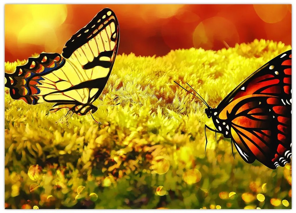 Obraz na szkle - motyle (70x50 cm)
