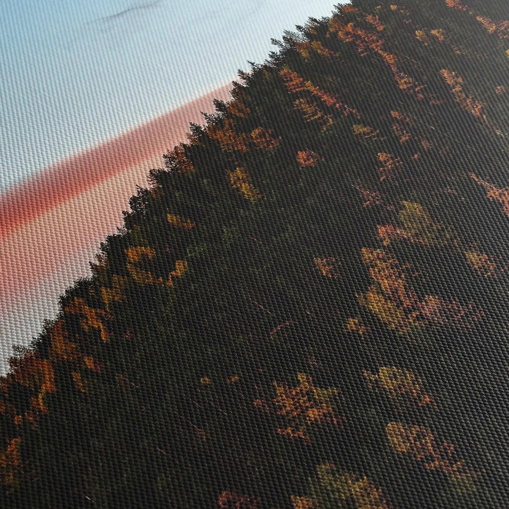Obraz rudzików nad wzgórzem (70x50 cm)