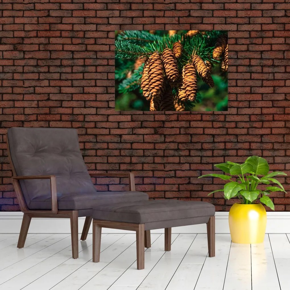 Obraz na szkle - szyszki (70x50 cm)
