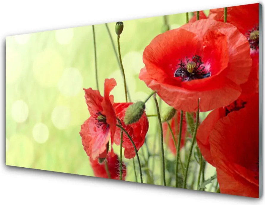 Panel Szklany Pole Czerwonych Maków