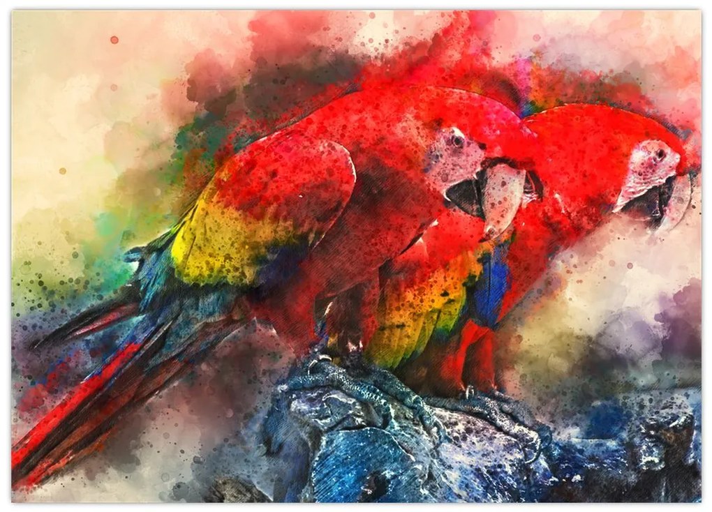Obraz czerwonych papug Ara (70x50 cm)