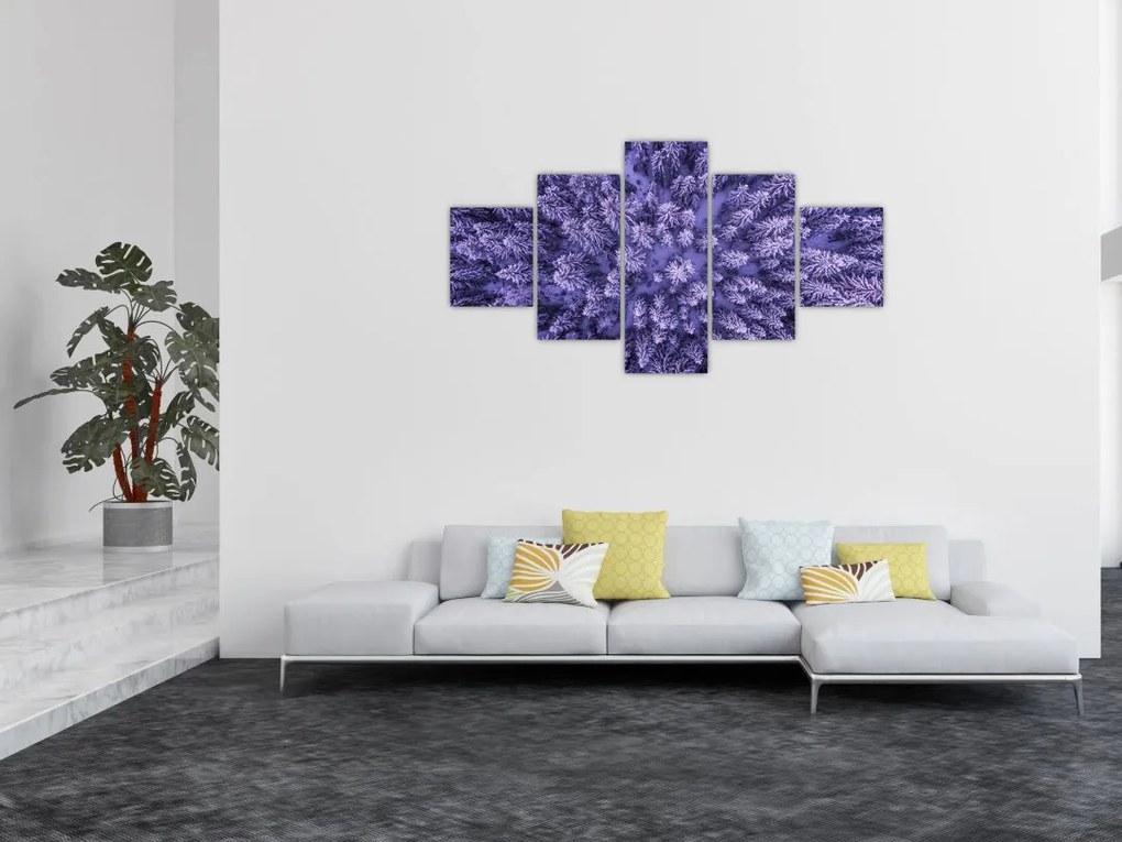 Obraz ośnieżonych drzew (125x70 cm)