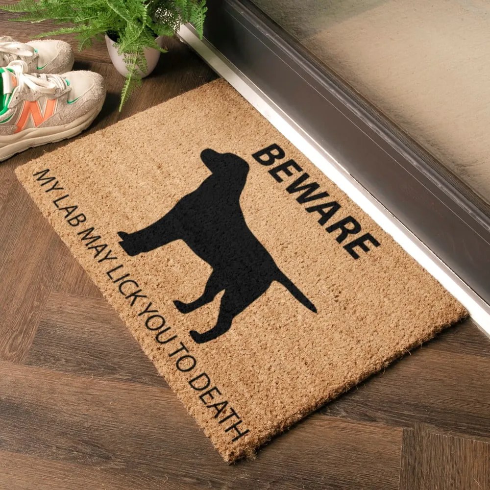 Wycieraczka z włókna kokosowego 40x60 cm Labrador – Artsy Doormats