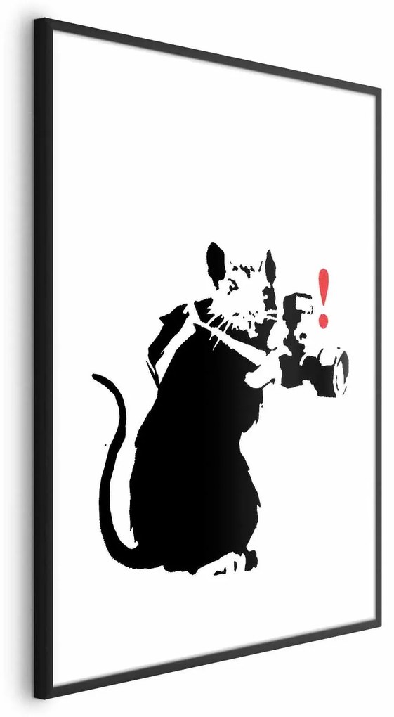 Plakat Szczur fotograf 21x30 cm z ramą czarną bez marginesu ARTGEIST B
