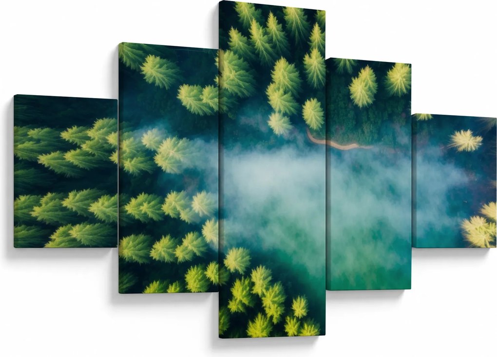 Obraz - Las spowity mgłą (125x70 cm)
