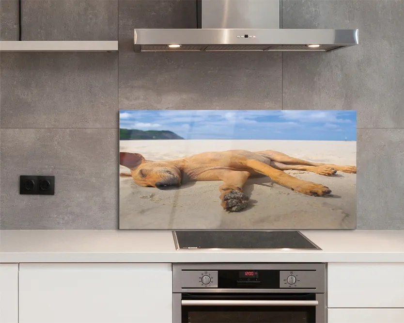 Szklany Panel Relaks Psa na Gorącym Piasku