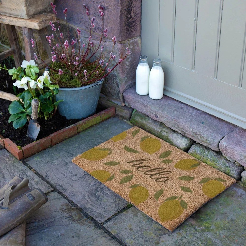 Wycieraczka z włókna kokosowego 40x60 cm Hello Lemons – Artsy Doormats
