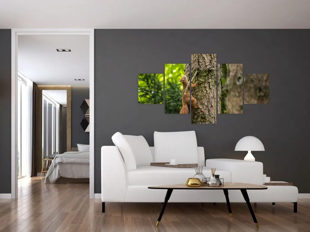 Obraz - wiewiórka (125x70 cm)