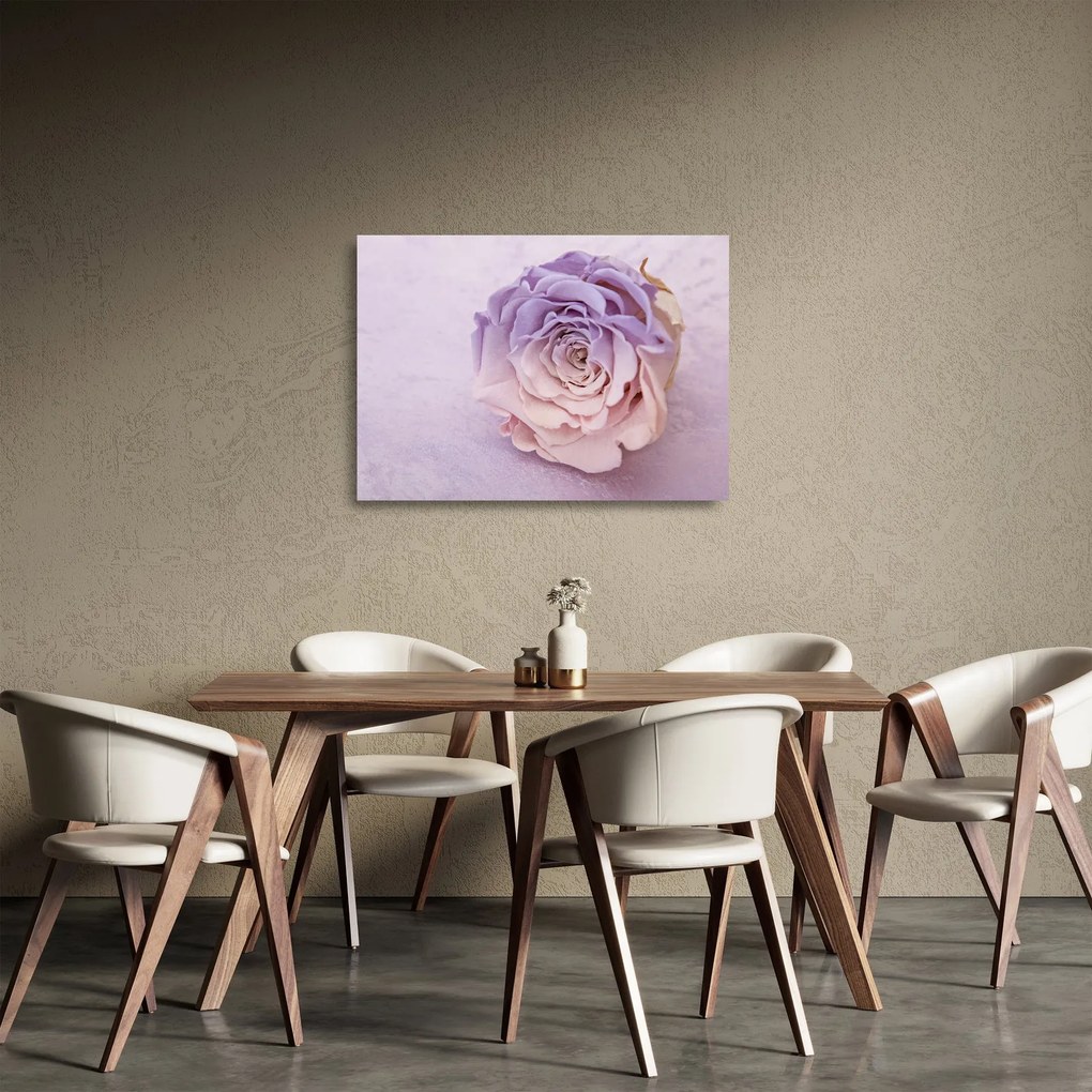 Obraz na szkle szczegółu kwiatu róży (70x50 cm)
