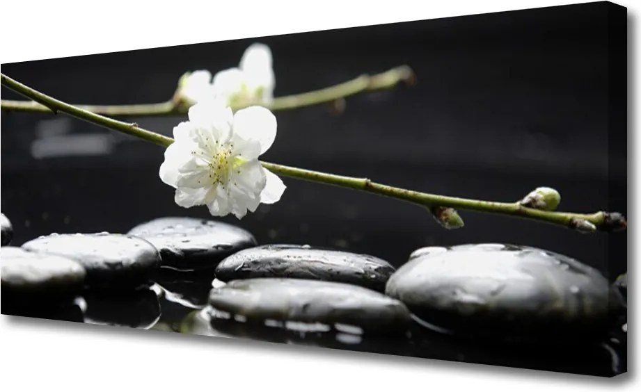 Obraz canvas na ścianę Kwitnąca Gałązka Jabłoni