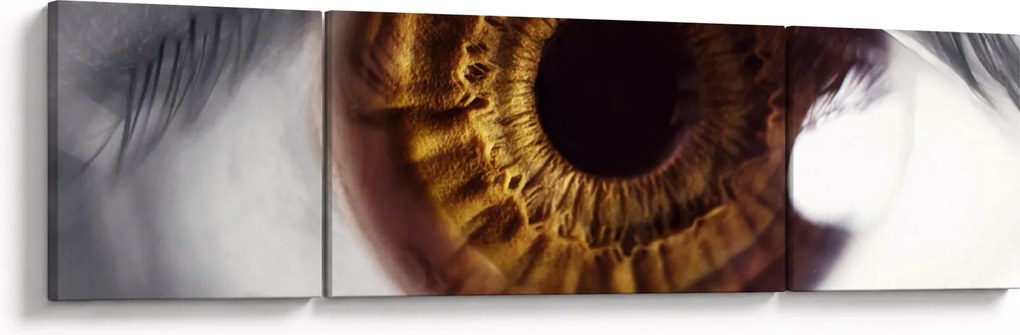 Obraz - Oko (170x50 cm)