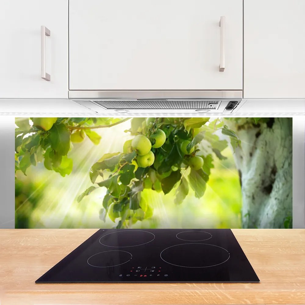 Panel Szklany Dojrzałe Jabłka Na Gałęzi