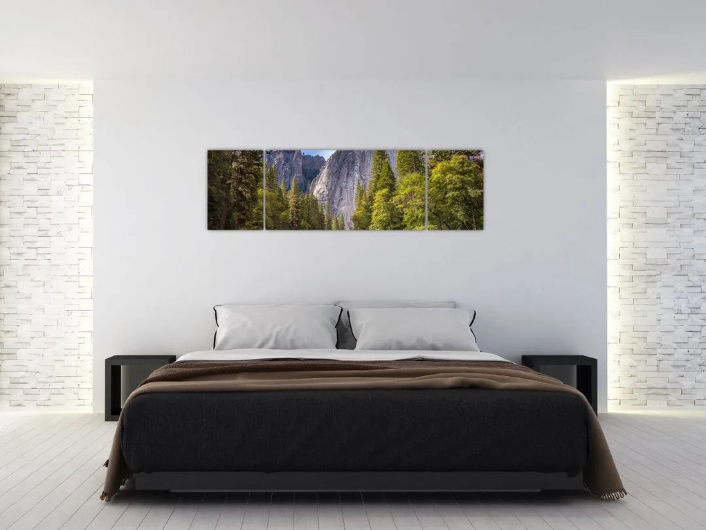 Obraz - Pod Yosemite Rock (170x50 cm)