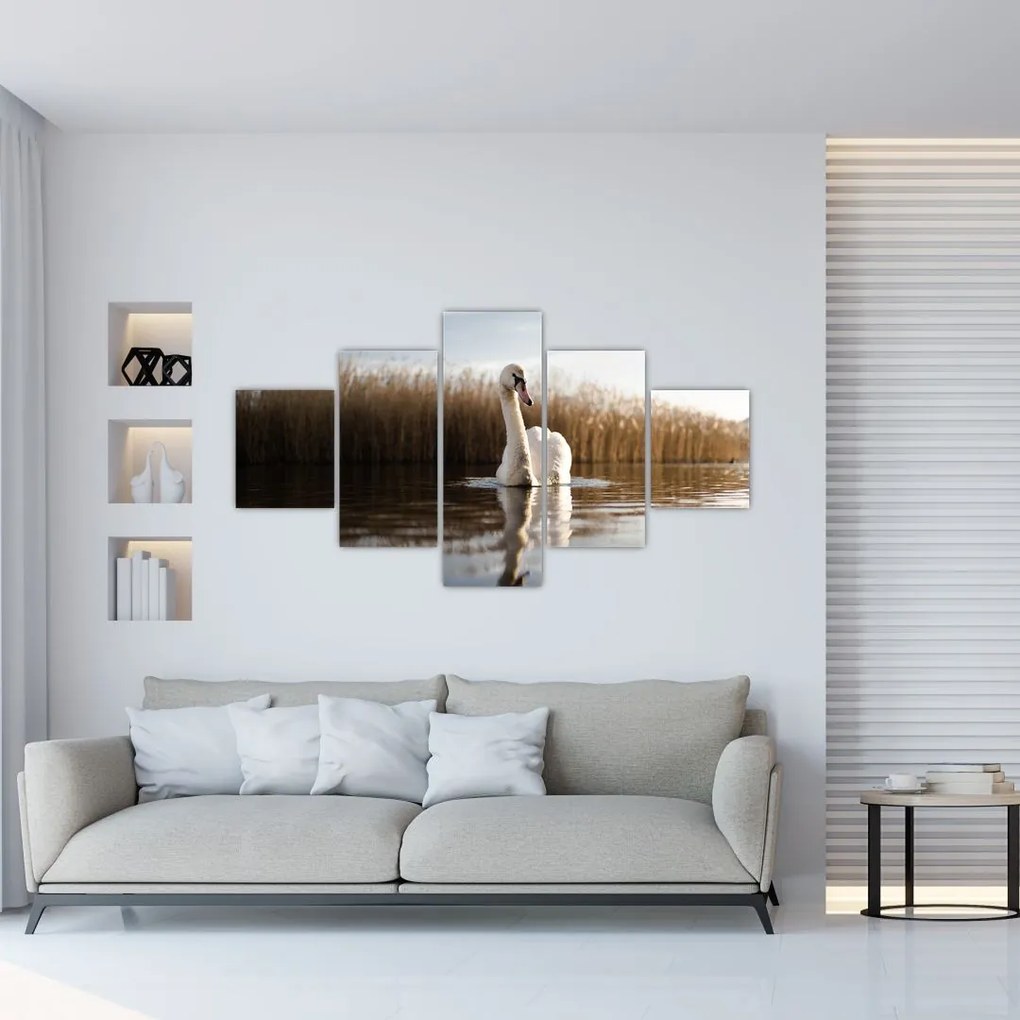 Obraz łabędzia (125x70 cm)