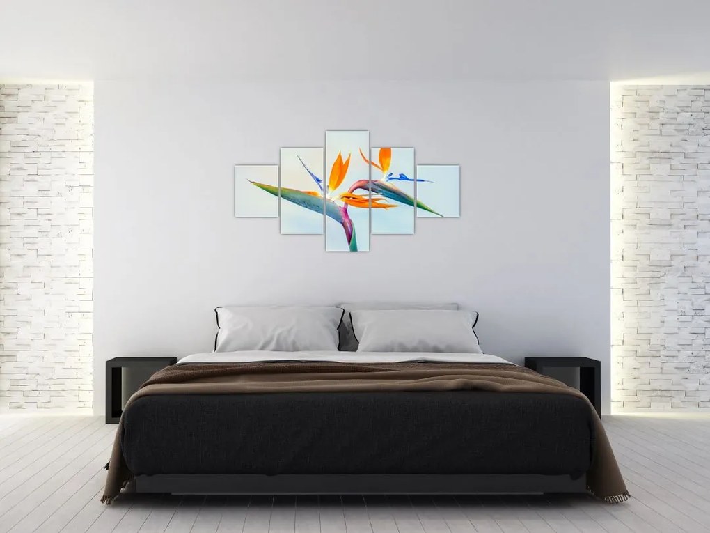 Obraz kwiatu Strelicji (125x70 cm)