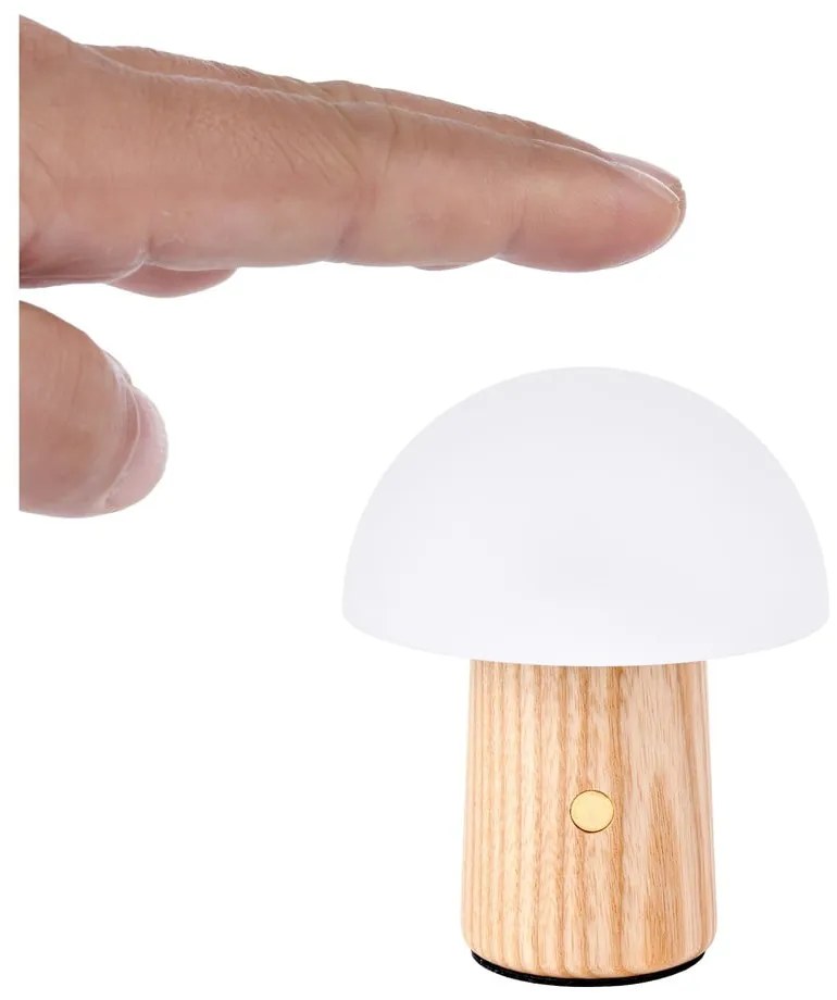 Lampa stołowa LED ze ściemniaczem z litego drewna jesionowego (wysokość 7 cm) Alice – Gingko