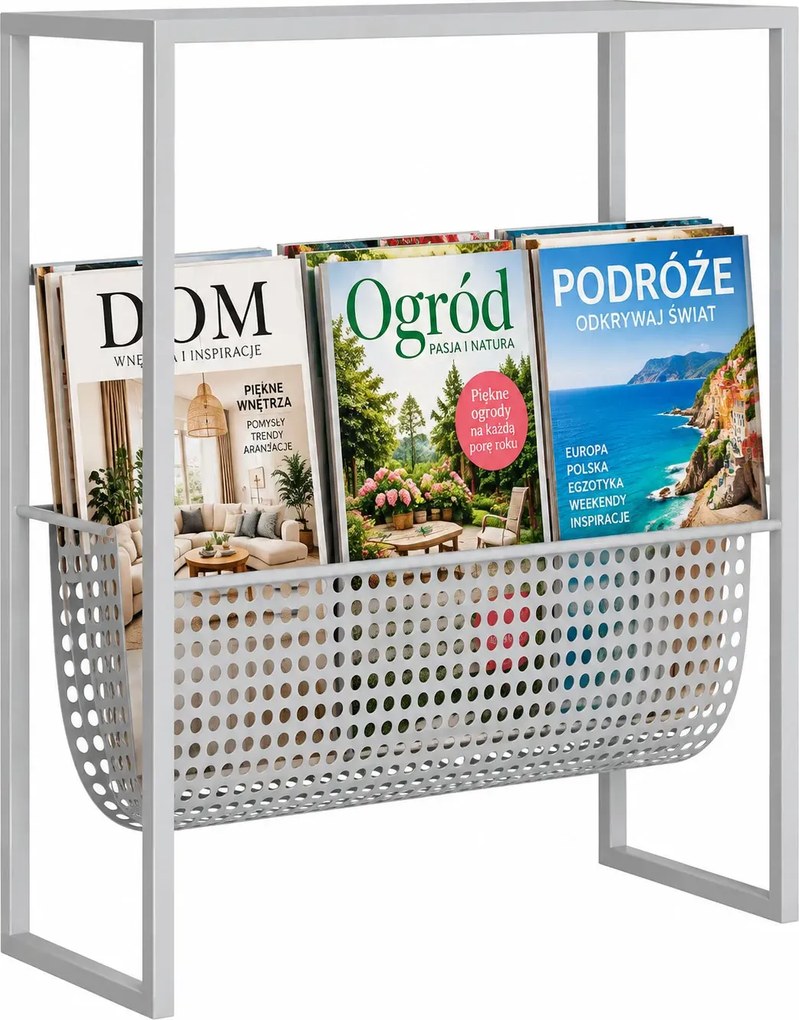 Nowoczesny srebrny stojak na gazety L6-S26