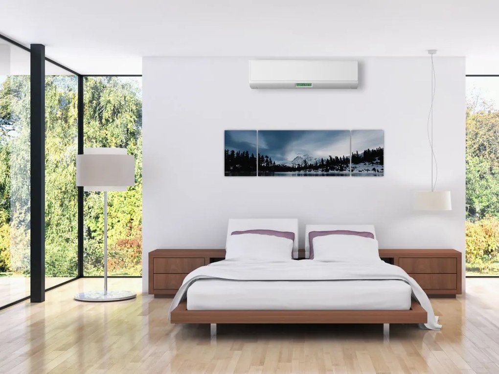 Obraz - Na zamarzniętym jeziorze (170x50 cm)