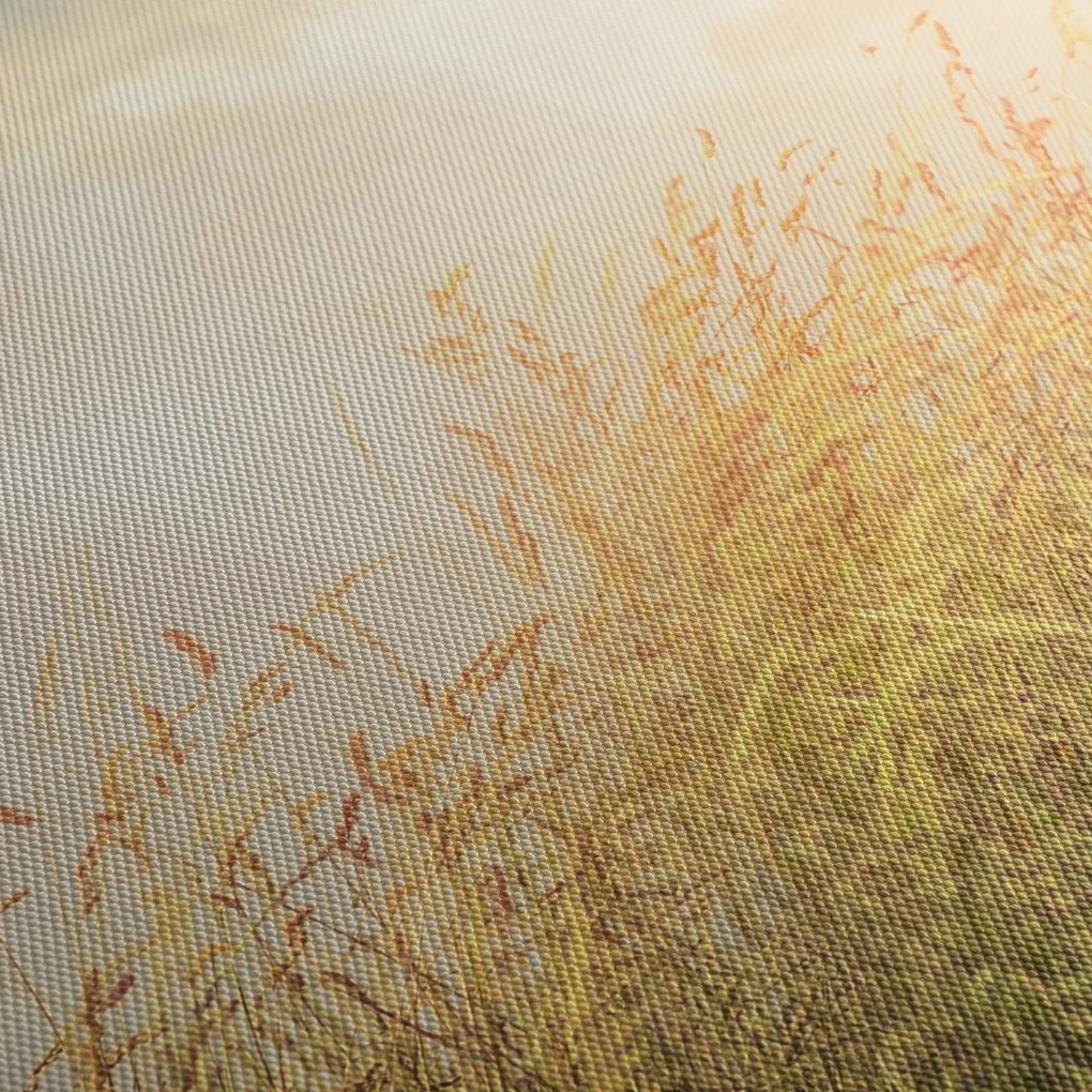 Obraz - Pole jesienią (170x50 cm)