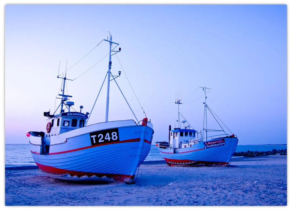 Obraz na szkle - Lądowanie o zmierzchu (70x50 cm)