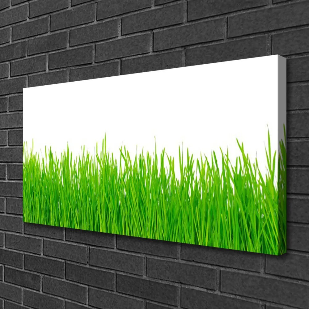 Obraz canvas na ścianę Naturalna Gęstwina Trawy