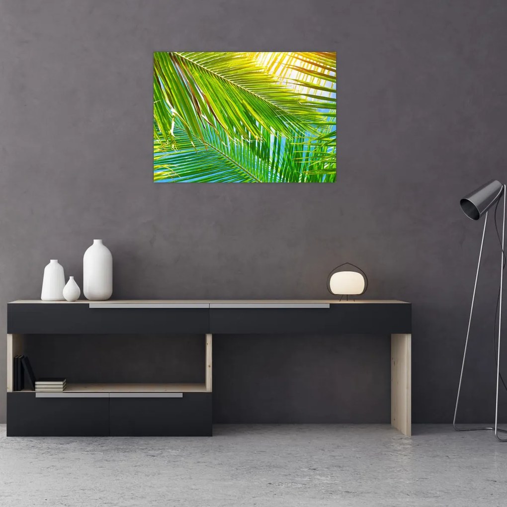 Obraz na szkle - Liście palmowe (70x50 cm)