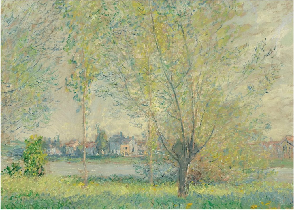 Obraz - Claude Monet, The Willows, reprodukcje (70x50 cm)