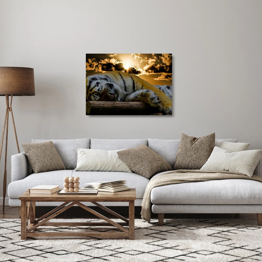 Obraz na szkle - śpiący tygrys (70x50 cm)