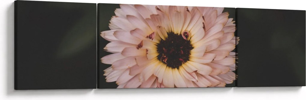 Obraz pomarańczowego kwiatu (170x50 cm)
