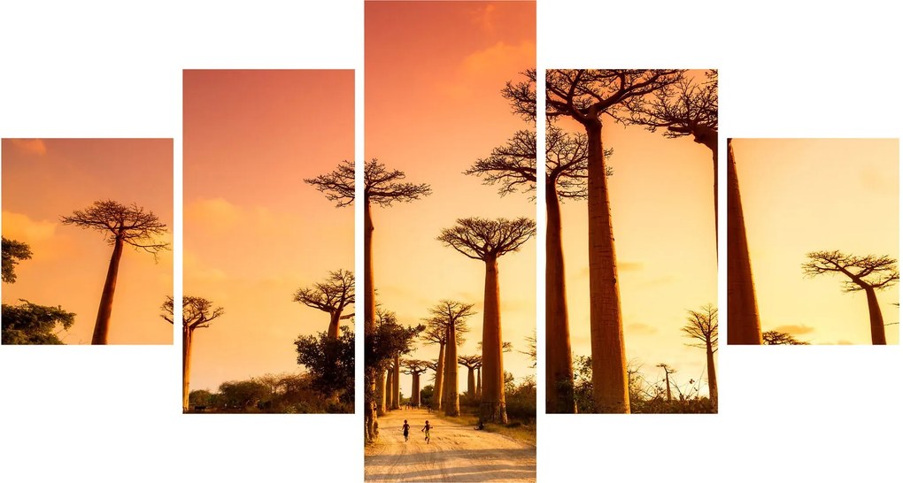 Obraz - Zachód słońca w Baobab Alley (125x70 cm)
