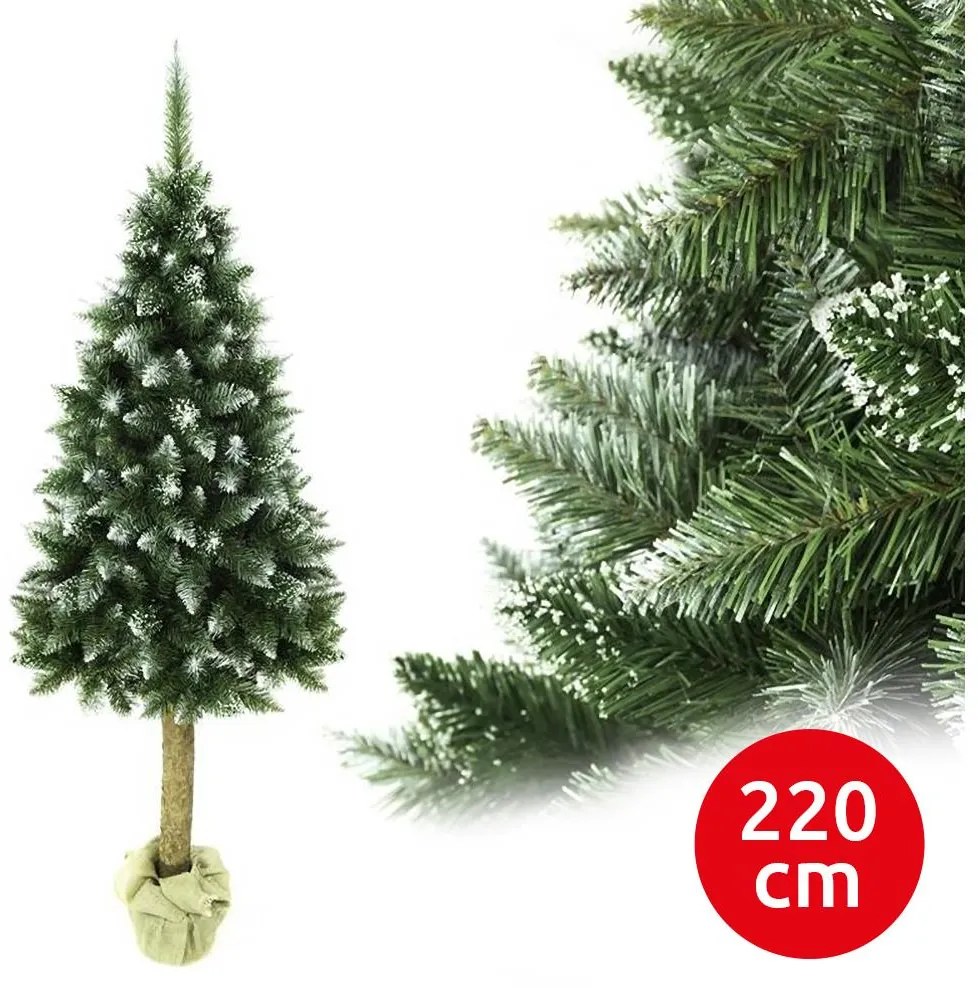 Choinka bożonarodzeniowa na pniu 220 cm jodła