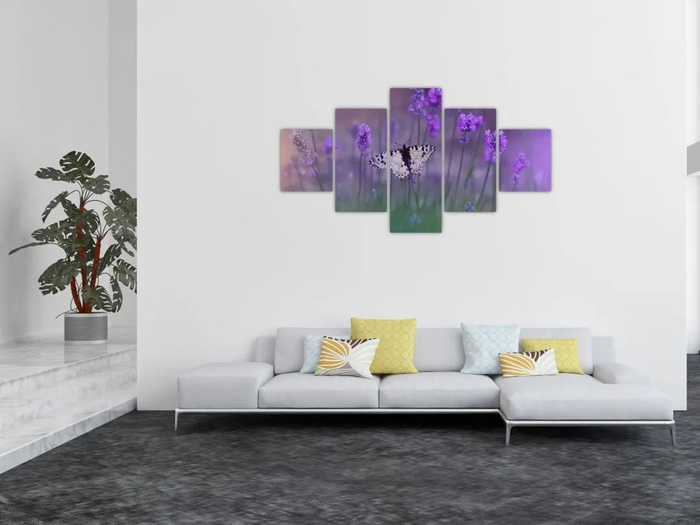 Obraz - Motyl w lawendach (125x70 cm)