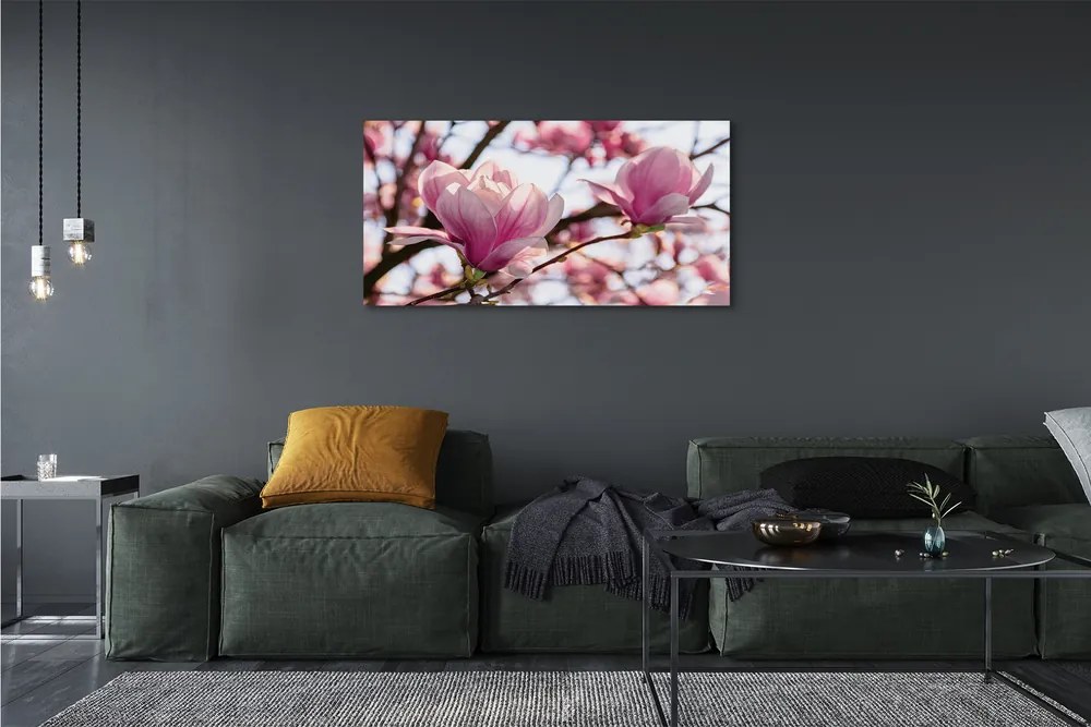 Duży obraz na płótnie Drzewa Magnolii